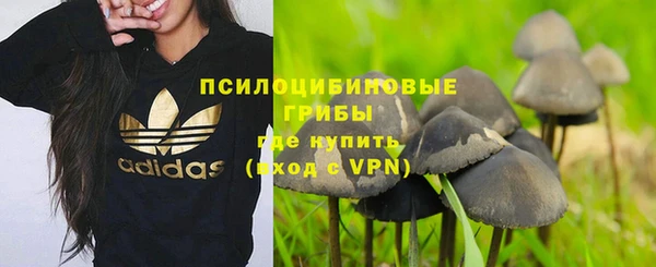 индика Богородск
