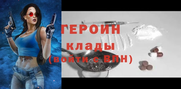 индика Богородск