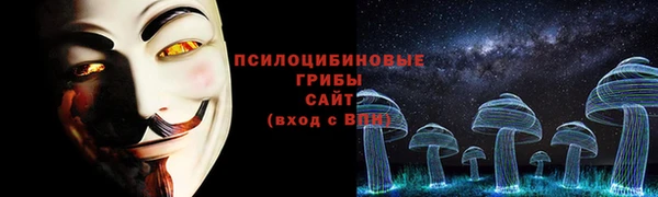 индика Богородск