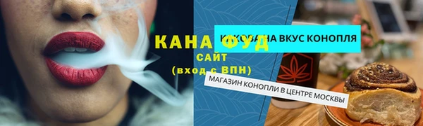 индика Богородск