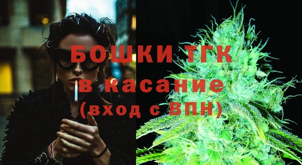 ECSTASY Богородицк