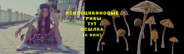 индика Богородск