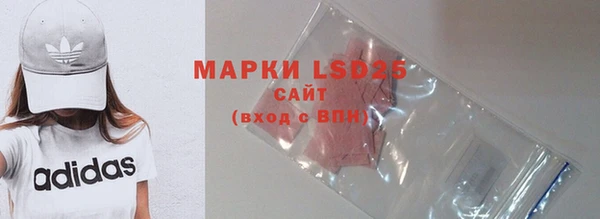 ECSTASY Богородицк