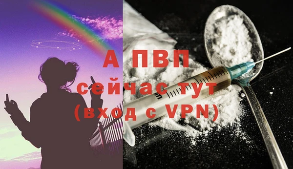 индика Богородск