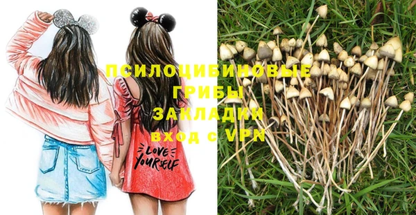 синтетический гашиш Богданович