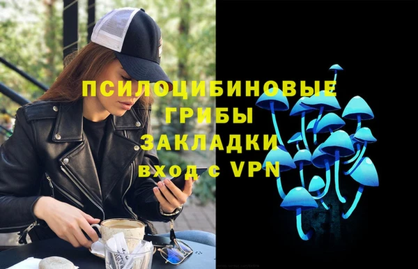 ECSTASY Богородицк