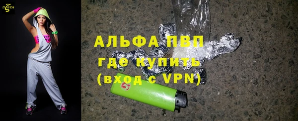 ECSTASY Богородицк