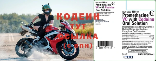прущие грибы Бронницы