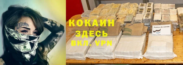 индика Богородск