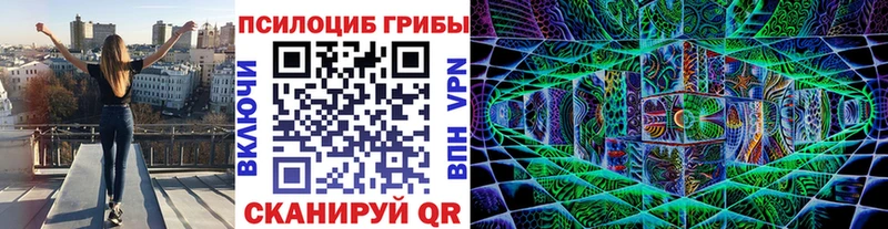 Купить закладки  Кохма  Галлюциногенные грибы мицелий 